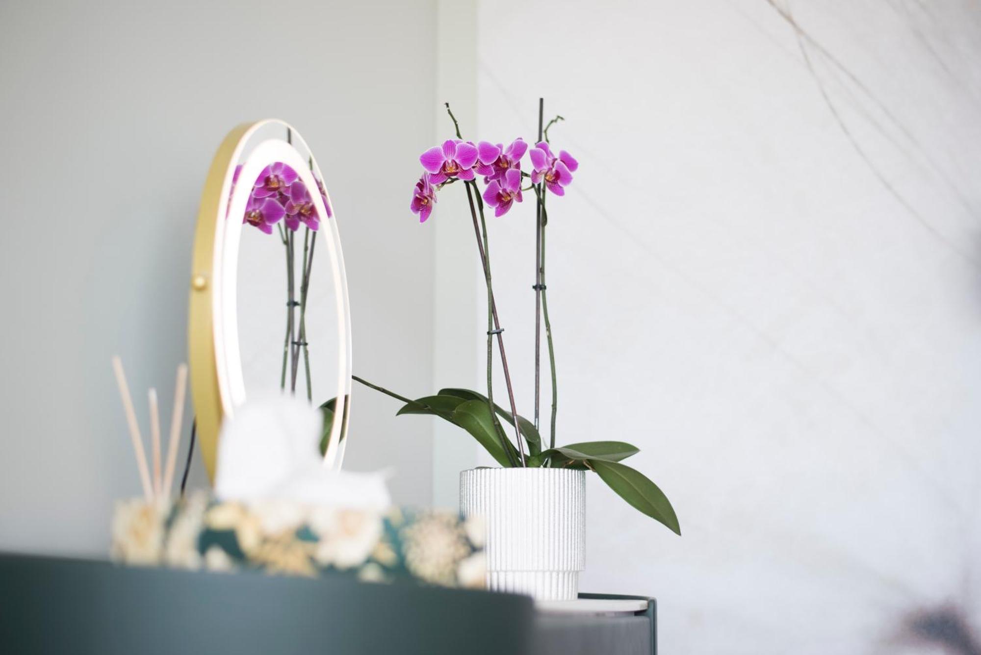 Horizont Apartman Alsóörs Екстериор снимка